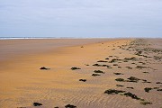 Goswick Sands