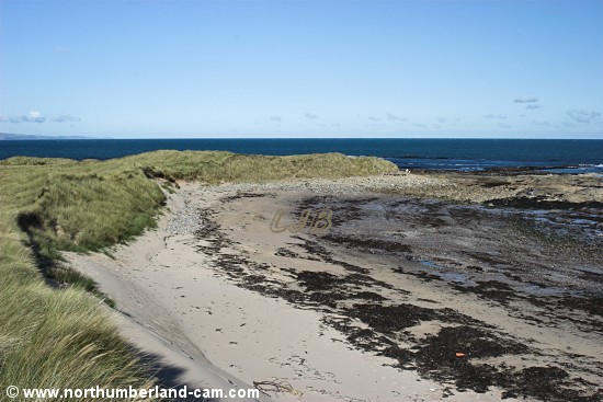 Beach at Coves Haven.