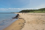 Sugar Sands