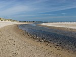 Northumberland Beaches 5
