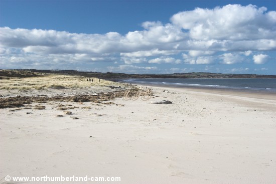 View looking north along Warkworth Beach.